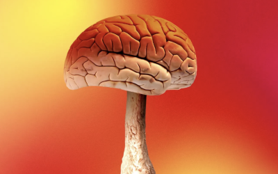 Micro Dosing Mushrooms